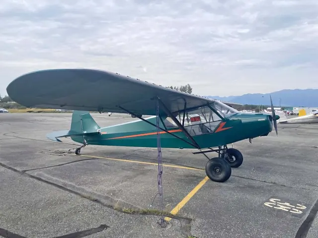 Piper PA-11