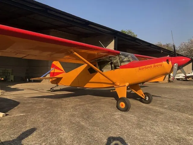 2022 Bearhawk Bravo