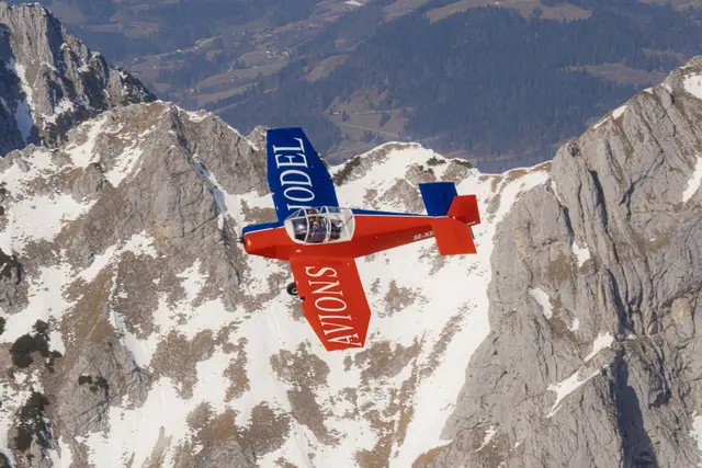 1981 Jodel D-113