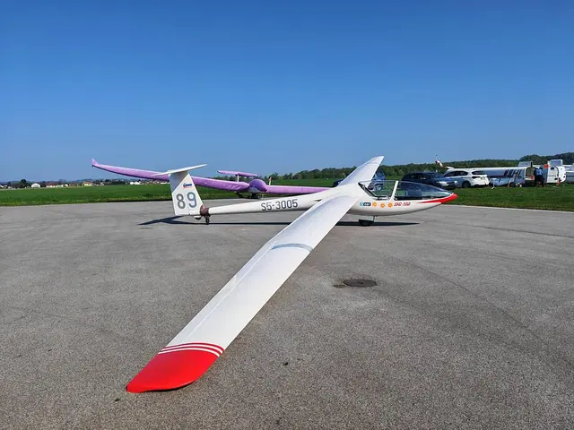 1981 DG Flugzeugbau Glaser-Dirks DG-100G Elan