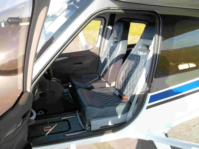 2020 Tecnam P2010