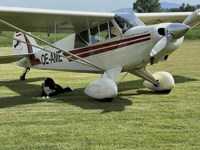 1990 Aviat A-1 Husky