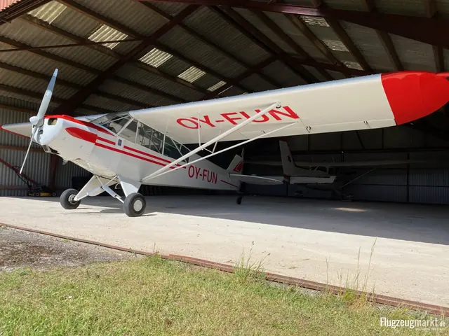 1954 Piper Aircraft PA-19