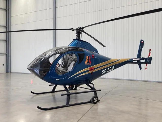 2001 Schweizer 333