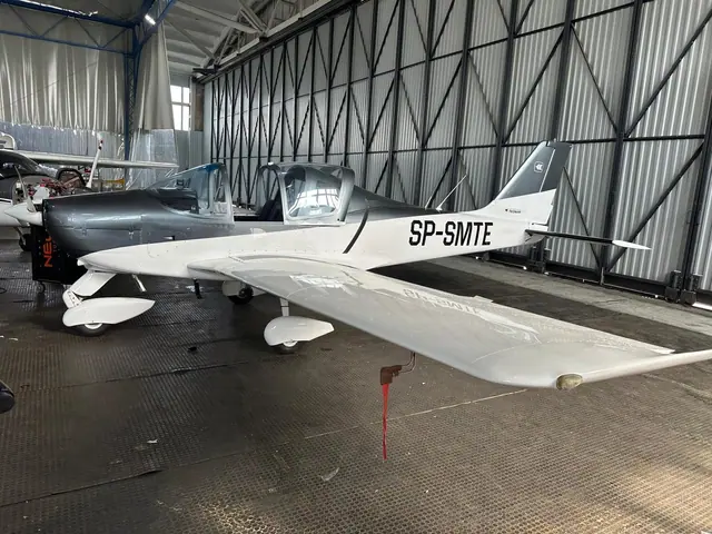 2004 Tecnam P2002 Sierra