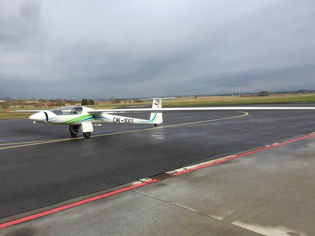 2002 Stemme S-10 VT