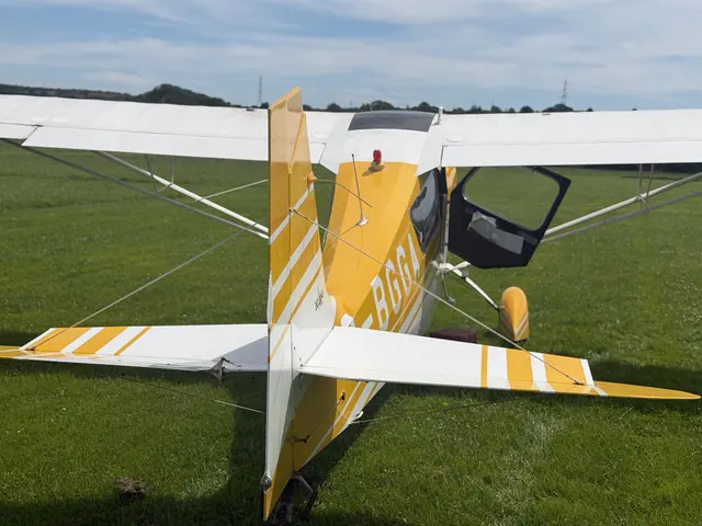 1979 Bellanca 7GCBC Citabria