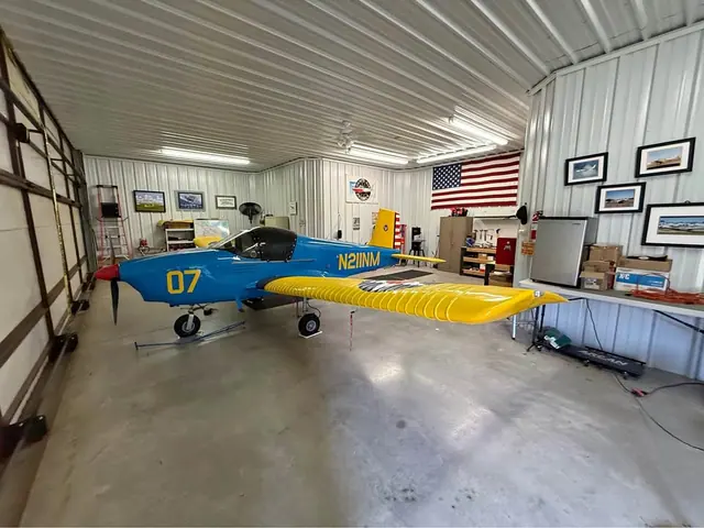 2008 Thorpedo T-211 E-LSA Factory built by Indus.