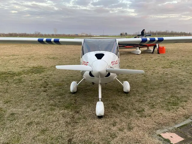 2008 Pipistrel Sinus LSA