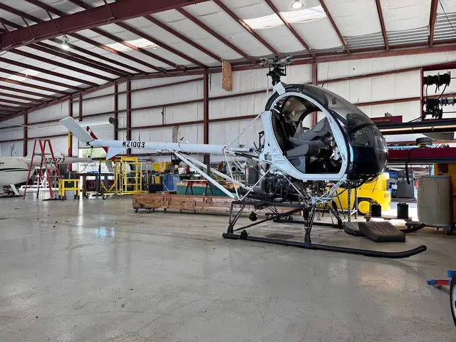 2009 Schweizer 300cbi