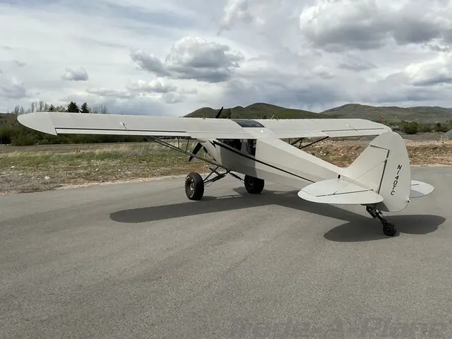 2019 Cubcrafters Carbon Cub EX-2
