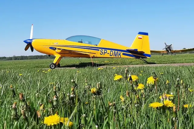 2008 Extra 300