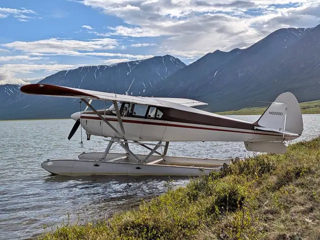 1958 Piper bushmaster