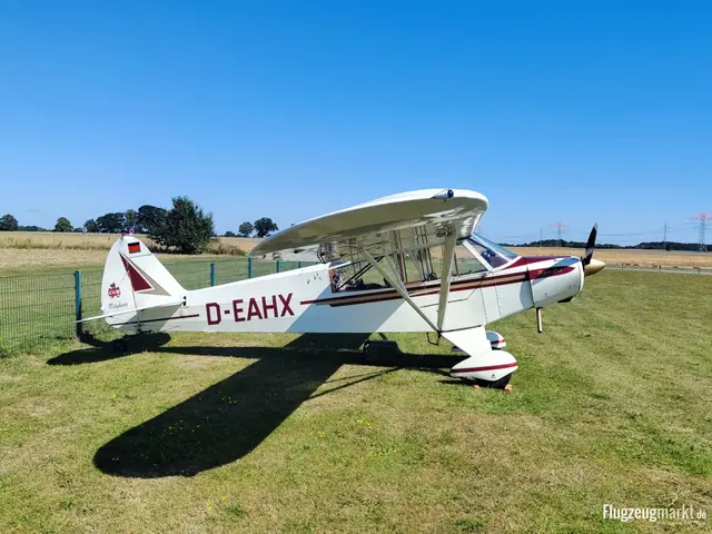 1954 Piper Aircraft PA-18-95 Super Cub