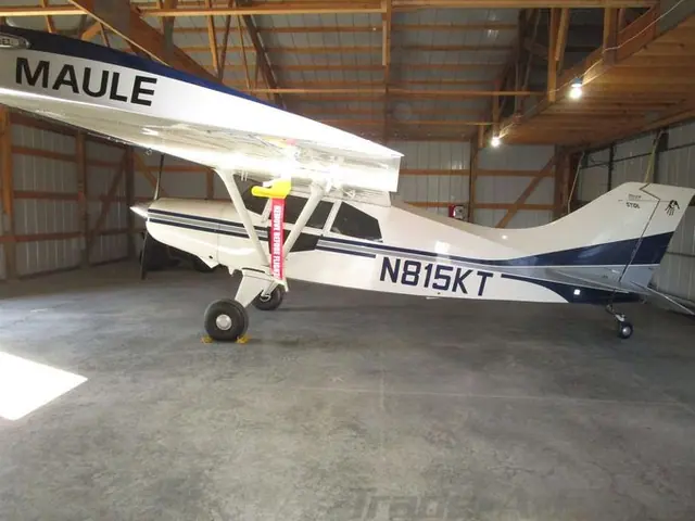 1993 Maule MX-7-180B