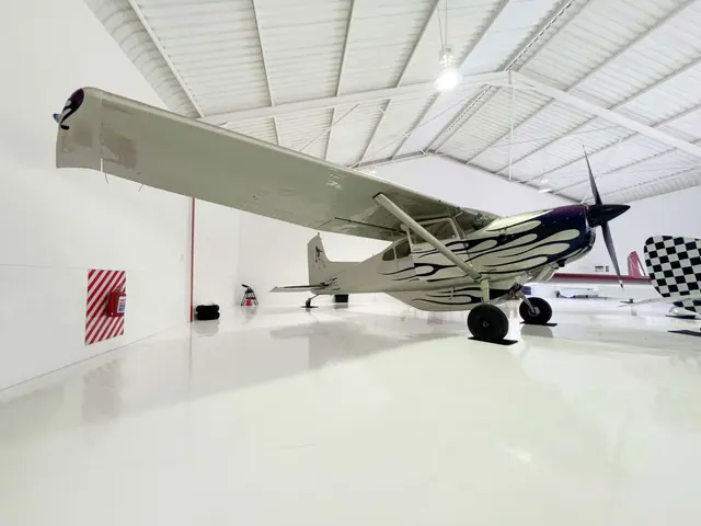 1980 Cessna A185F Skywagon