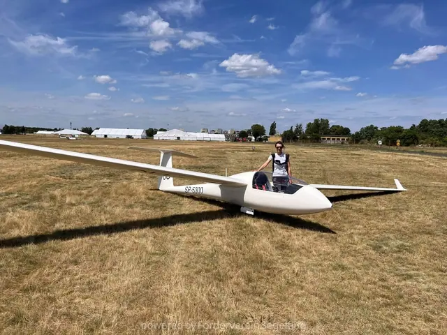 1976 Standard Cirrus
