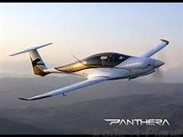 2020 Pipistrel Panthera (S/N S5-DTP)