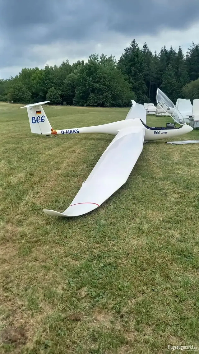 2004 AMS Flight Apis Bee 15MB