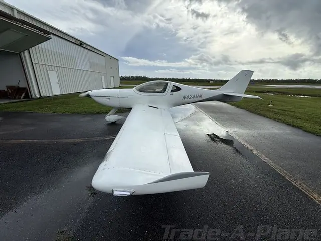 2019 Arion Aircraft LLC Lightning