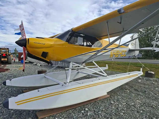 2016 Carbon Cub SS
