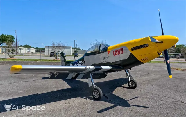 2004 Flyer Indústria Aeronáutica Ltda John Williams T-51 Mustang