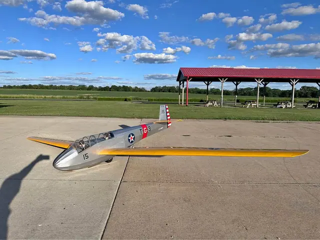 Schweizer TG-3 1/3rd scale