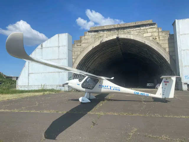 2004 Pipistrel Sinus 912