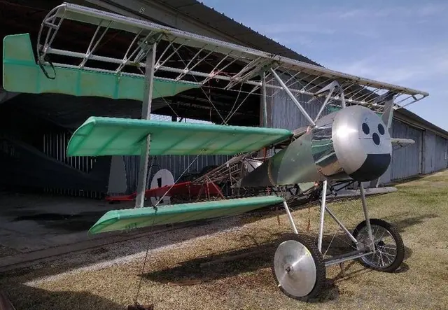 1917 Fokker DR 1
