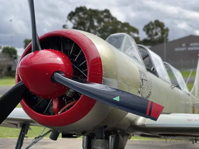 2004 Yakovlev Yak 52 Tailwheel