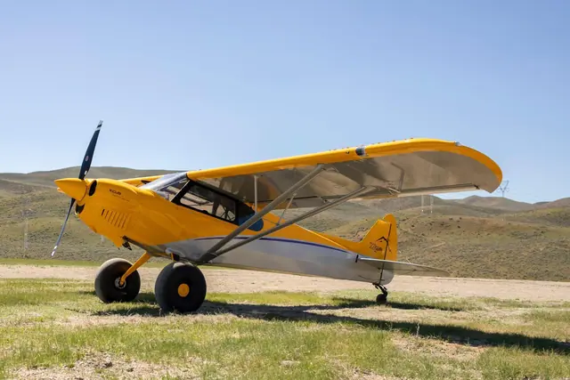 2022 XCub