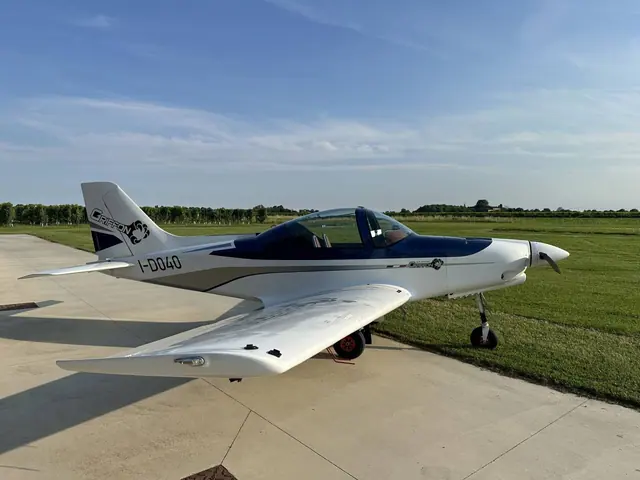 2018 Alpi Pioneer 300 Griffon
