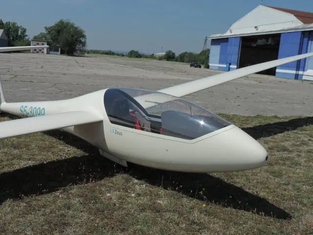 1978 Glasflugel - Mosquito H303