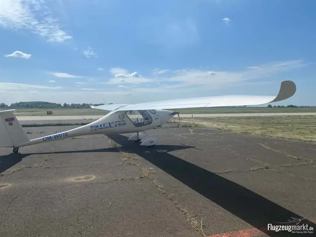 2004 Pipistrel Sinus 912