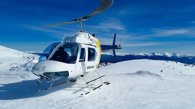 1979 Bell 206B3