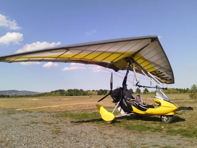 2013 ULM pendulaire