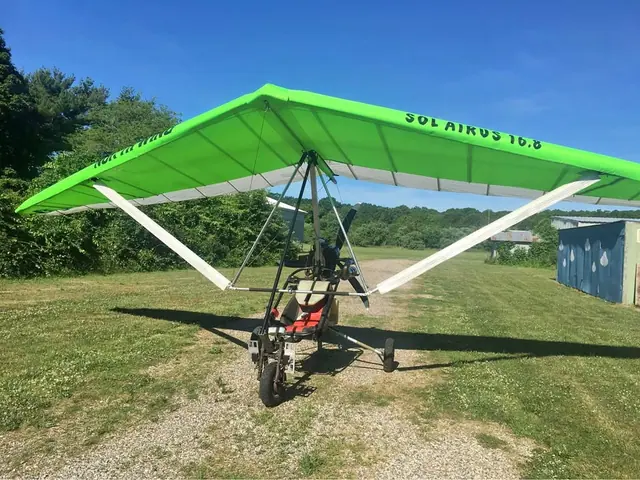 Ultralight wing for salei