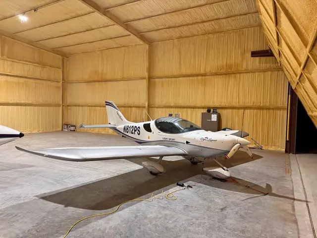 2010 Czech Sport Aircraft PiperSport