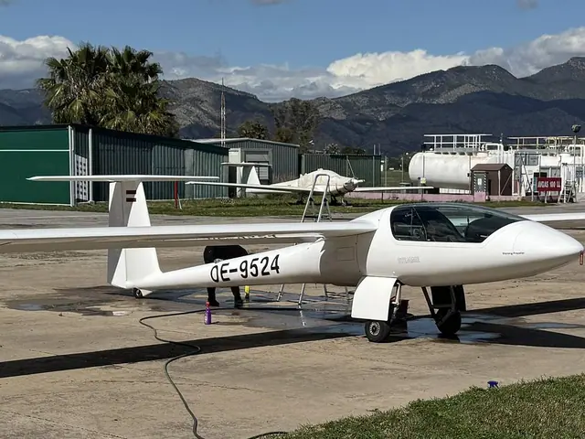 1999 Stemme S-10 VT