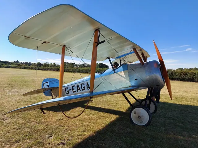 1990 Sopwith Pup / Dove