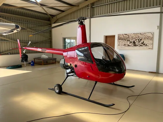 Robinson R22