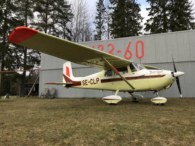 2011 1959 Cessna 172 Skyhawk