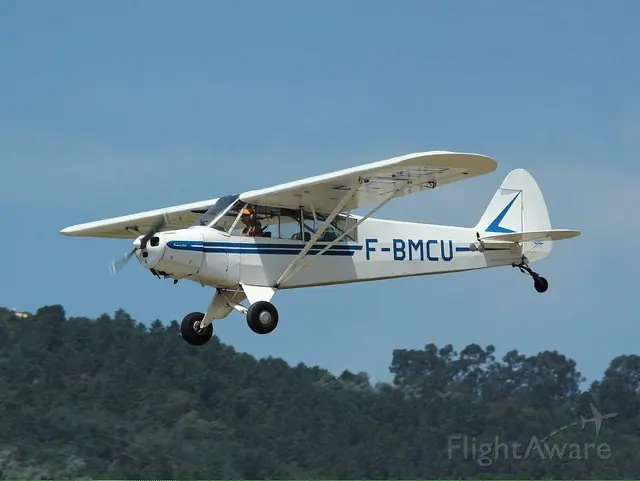 1951 Piper L-18C Super Cub