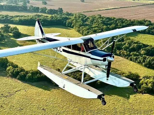 2006 Cubcrafters CC18-180 Top Cub