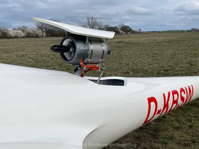 1983 LS4 Jet mit Cobra