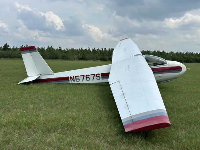 1968 Schweizer SGS 2-33