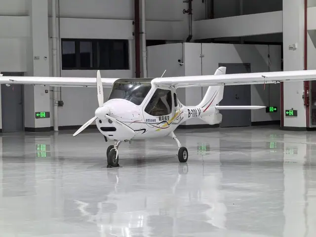 2019 Flight Design CTLSi