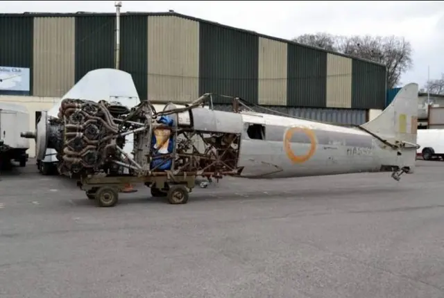 1945 Hawker Tempest II