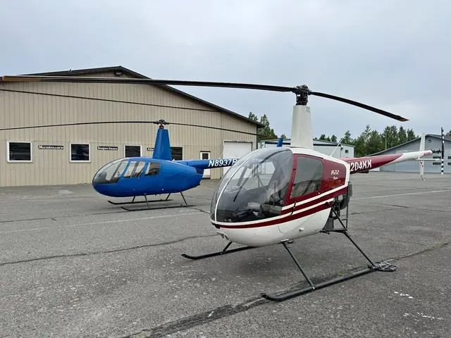 1989 Robinson R22 beta