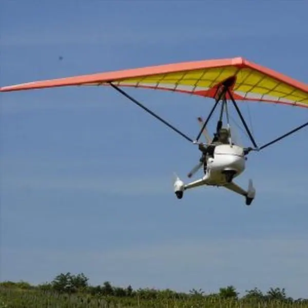 2023 New Apollo Aircraft C15 DD Topless Wing